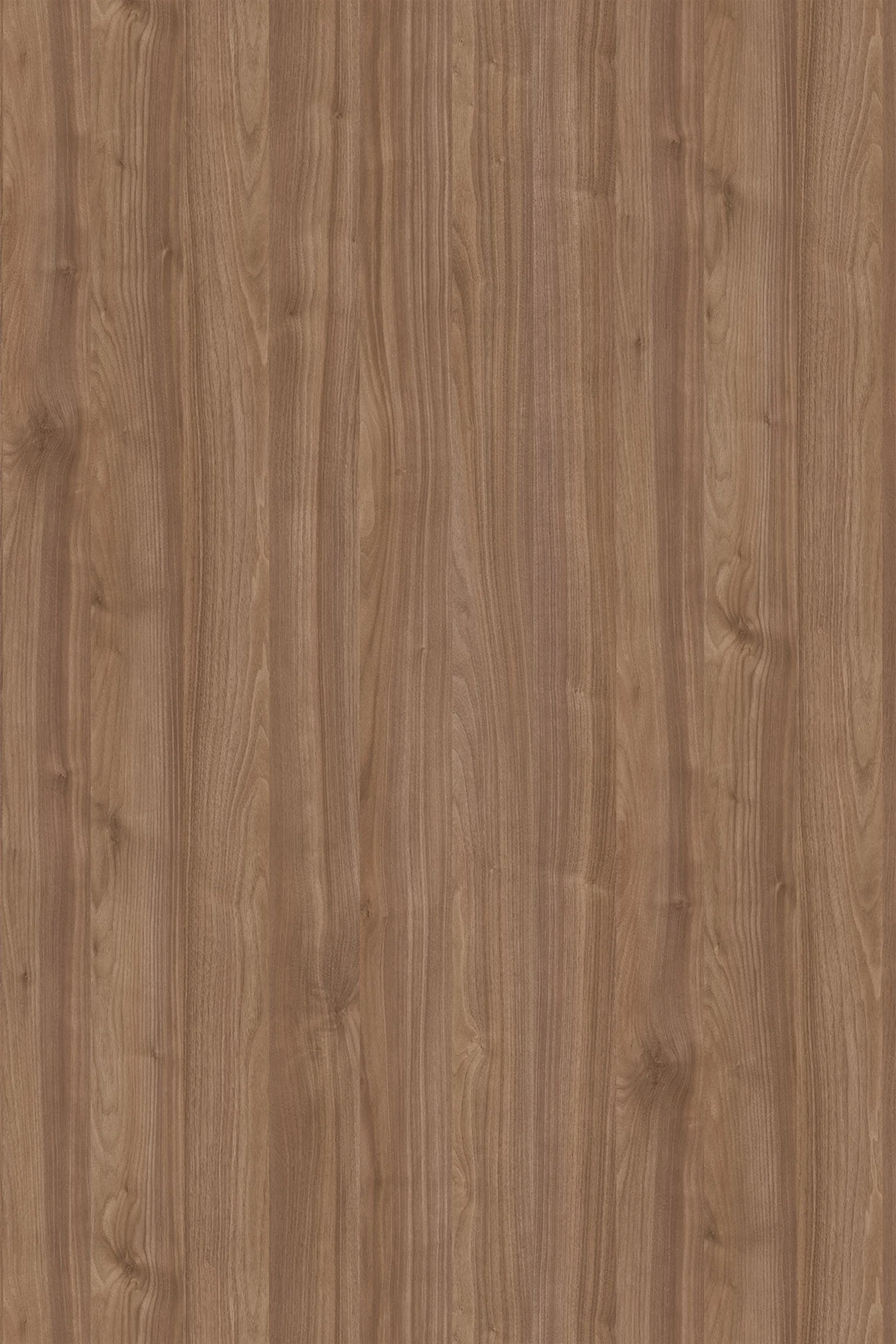 Melamine Faced Particle Board - K009 Dark Select Walnut | WOODca